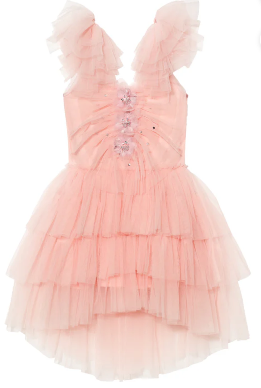 Beaux-Arts Tutu Dress